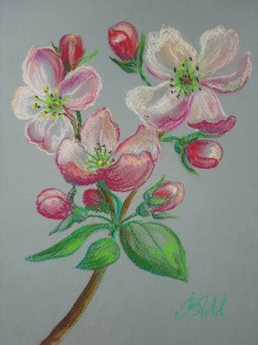 Painting titled "Apple Blossom #1" by Victoria Shevchenko, Original Artwork, Pastel