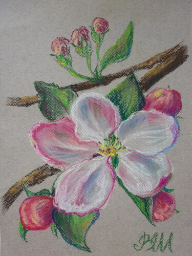 Malerei mit dem Titel "Apple Blossom # 2" von Victoria Shevchenko, Original-Kunstwerk, Pastell