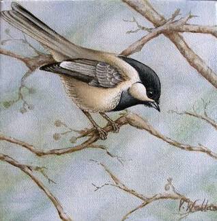 Painting titled "Black Capped Chicka…" by Victoria Wallace, Original Artwork