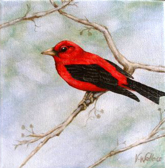 Painting titled "Scarlet Tanager" by Victoria Wallace, Original Artwork