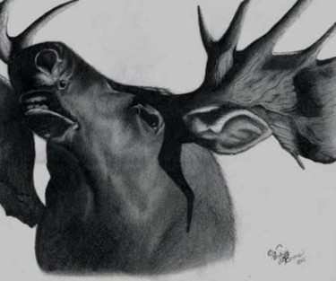 Drawing titled "Bull Moose" by Artori, Original Artwork, Pencil
