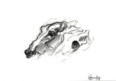 Drawing titled "Asusta" by Victorine Guery, Original Artwork, Graphite