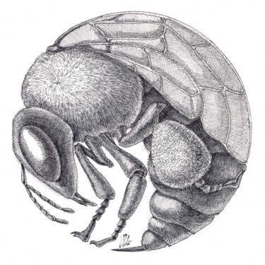 Dessin intitulée "Rounded Bee" par Victor Molev, Œuvre d'art originale, Autre