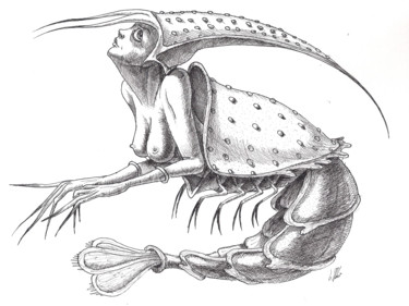 Dibujo titulada "Sweet shrimp" por Victor Molev, Obra de arte original, Tinta