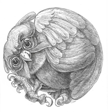 Disegno intitolato "Round Owl" da Victor Molev, Opera d'arte originale, Inchiostro