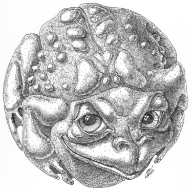 Drawing titled "Grand Toad" by Victor Molev, Original Artwork, Ink