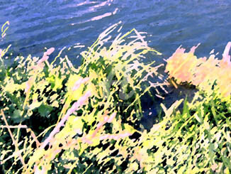 Painting titled "Lake's wind" by Viktor Kovbunov, Original Artwork