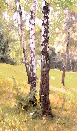 Painting titled "birchs wood" by Viktor Kovbunov, Original Artwork