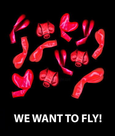 Photography titled "We want to fly!" by Viktor Artemev, Original Artwork, Digital Photography