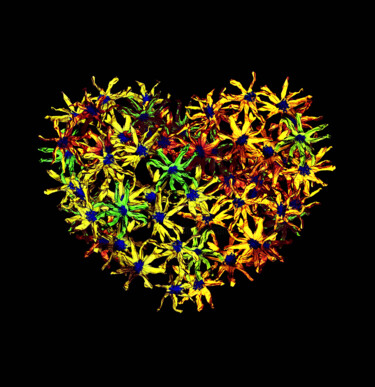 Fotografia intitulada "Flower heart" por Viktor Artemev, Obras de arte originais, Fotografia digital