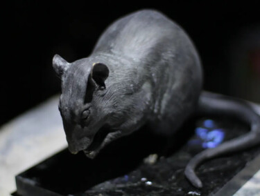 Скульптура под названием "Крыса" - Виктория Тищенко, Подлинное произведение искусства, Полимерная глина