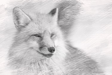 Arte digitale intitolato "Fox" da Viktoriay Bozhko, Opera d'arte originale, Pittura digitale