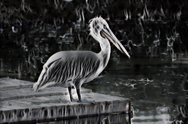 Digitale Kunst getiteld "pelican hunting per…" door Viktoriay Bozhko, Origineel Kunstwerk, 2D Digital Work