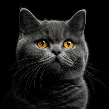 Digitale Kunst mit dem Titel "British Cat 2" von Viktoriia Gladkova, Original-Kunstwerk, KI-generiertes Bild