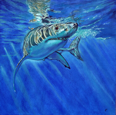 Pintura intitulada "The shark." por Viktoriya Filipchenko, Obras de arte originais, Óleo Montado em Armação em madeira