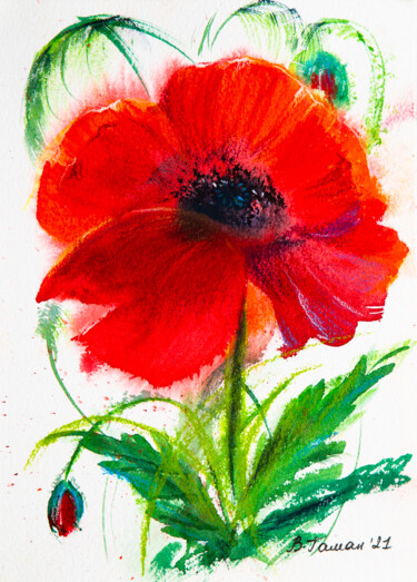 Zeichnungen mit dem Titel "scarlet poppy" von Viktoriia Gaman, Original-Kunstwerk, Aquarell