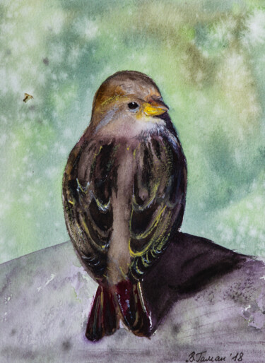 Painting titled "Little sparrow. Wat…" by Viktoriia Gaman, Original Artwork, Watercolor