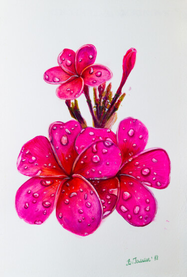Картина под названием "Plumeria or frangip…" - Виктория Гаман, Подлинное произведение искусства, Акварель