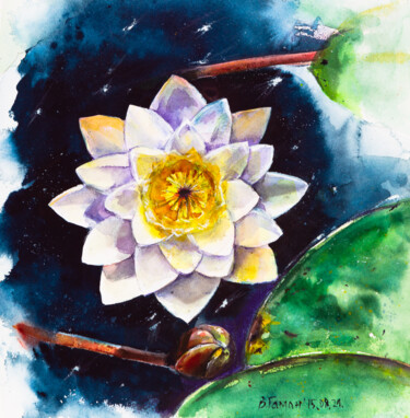Malerei mit dem Titel "Water lily. Waterco…" von Viktoriia Gaman, Original-Kunstwerk, Aquarell
