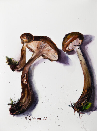 Pintura intitulada "Honey mushrooms. Bo…" por Viktoriia Gaman, Obras de arte originais, Aquarela