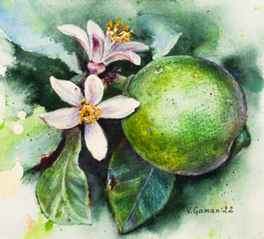 Painting titled "Lime fruit with flo…" by Viktoriia Gaman, Original Artwork, Watercolor