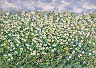 Peinture intitulée "Chamomile Flowers F…" par Vilma Gataveckiene, Œuvre d'art originale, Huile