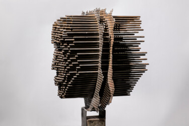 Sculpture titled "Apparence's" by Vincent Fons, Original Artwork, Metals