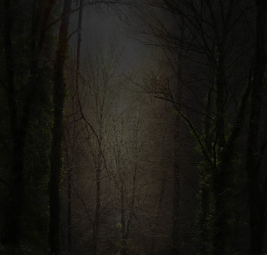 Fotografia intitolato "forêt 2" da Vincent Frediani, Opera d'arte originale, Fotografia digitale