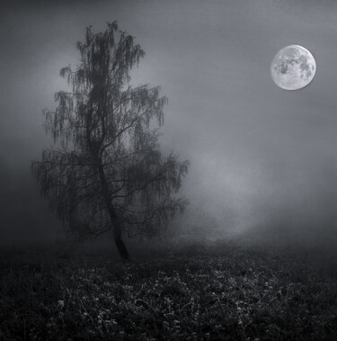 Fotografía titulada "l'arbre sous la lune" por Vincent Frediani, Obra de arte original, Fotografía digital