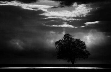 Fotografía titulada "un arbre" por Vincent Frediani, Obra de arte original, Fotografía digital