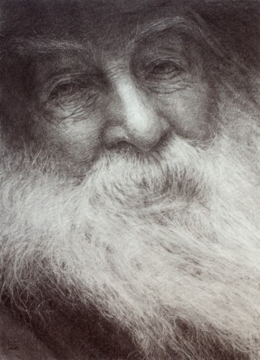 Rysunek zatytułowany „Walt Whitman” autorstwa Vincent Haller, Oryginalna praca, Węgiel drzewny Zamontowany na Karton