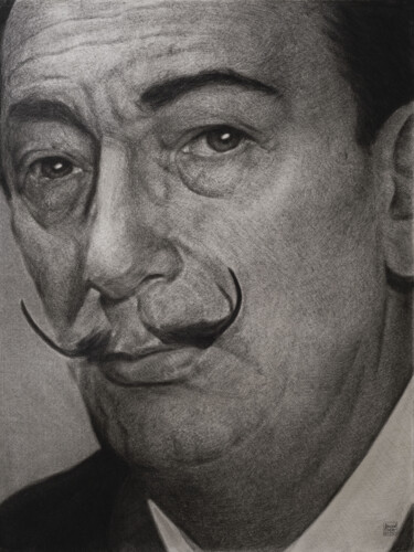 Рисунок под названием "portrait de Salvado…" - Vincent Haller, Подлинное произведение искусства, Древесный уголь