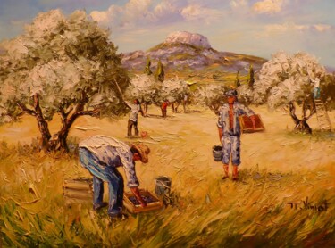 Peinture intitulée "Cueillette des oliv…" par Vincent Rallo, Œuvre d'art originale, Huile