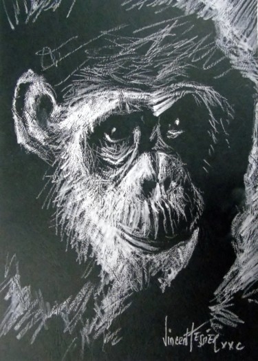 Drawing titled "singe" by Vincent Tessier Xxc, Original Artwork, Chalk