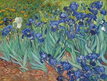 Painting titled "Irises" by Vincent Van Gogh, Original Artwork, Oil