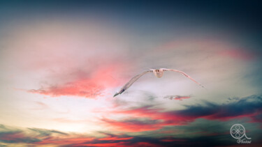 Photography titled "Seagull" by Vincenzo Lana, Original Artwork, Digital Photography Mounted on Wood Panel