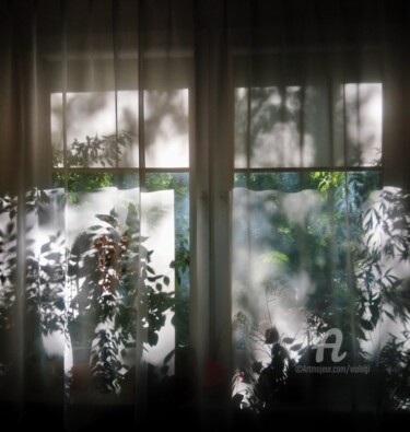 Photographie intitulée "Shadows" par Viola Gr, Œuvre d'art originale, Photographie numérique
