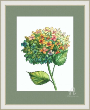 Painting titled "hydrangea" by Violetta Golden, Original Artwork, Watercolor