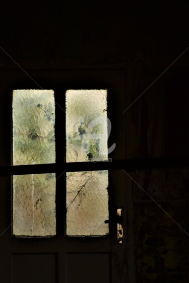 Photography titled "Une visite inattend…" by Virginie Dartois, Original Artwork, Non Manipulated Photography