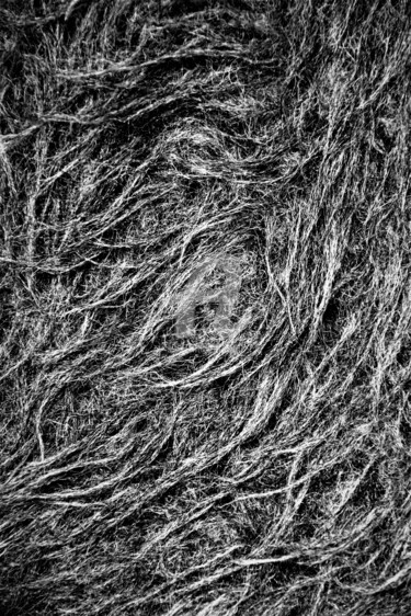 Photographie intitulée "Matière grise" par Virginie Dartois, Œuvre d'art originale, Photographie numérique
