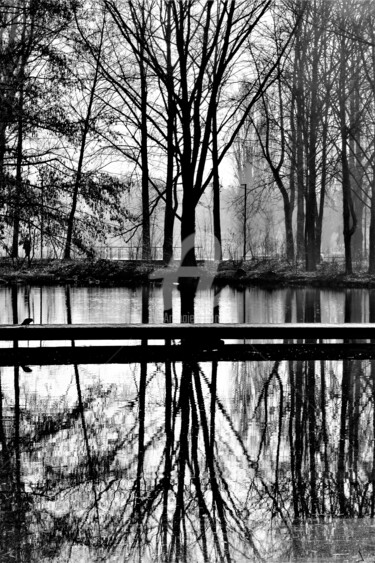 Fotografie mit dem Titel "Un matin d'hiver" von Virginie Dartois, Original-Kunstwerk, Digitale Fotografie