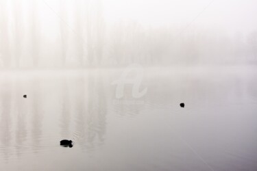 Photographie intitulée "3 petits points noi…" par Virginie Dartois, Œuvre d'art originale, Photographie numérique