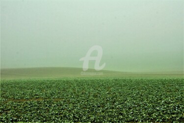 Fotografie getiteld "Vert campagne" door Virginie Dartois, Origineel Kunstwerk, Digitale fotografie