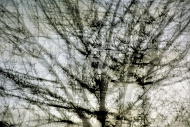 Photographie intitulée "La nudité des arbres" par Virginie Dartois, Œuvre d'art originale, Photographie numérique