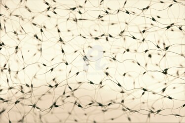 Fotografía titulada "Synapses" por Virginie Dartois, Obra de arte original, Fotografía digital