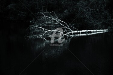 Photographie intitulée "L'arbre dort" par Virginie Dartois, Œuvre d'art originale, Photographie numérique