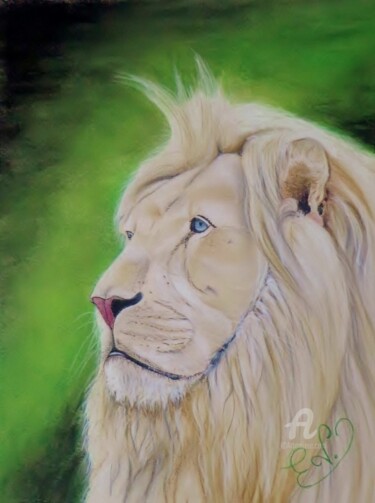 Drawing titled "Bouba, le lion blanc" by Virginie Etignard, Original Artwork, Pastel