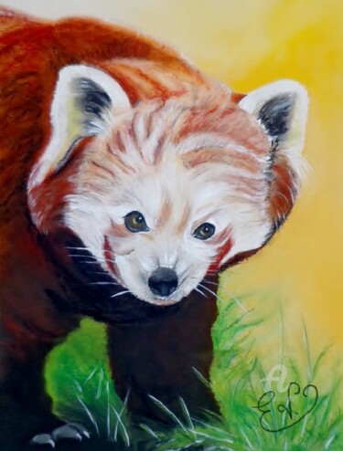 Drawing titled "Panda roux" by Virginie Etignard, Original Artwork, Pastel