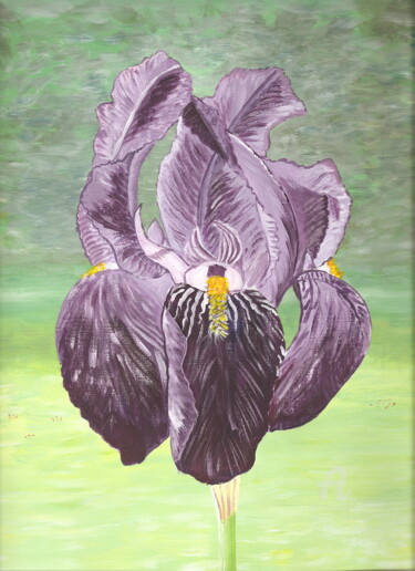 Painting titled "L'iris bleu" by Virginie Etignard, Original Artwork, Acrylic