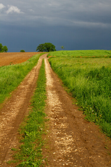 Fotografía titulada "Chemin" por Virginie Gérôme, Obra de arte original, Fotografía digital